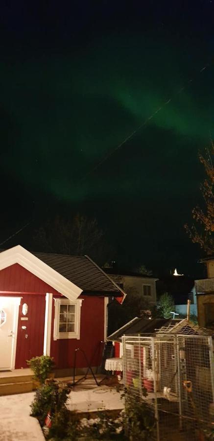 Nydelig Hytte I Kabelvag Lofoten Exterior photo